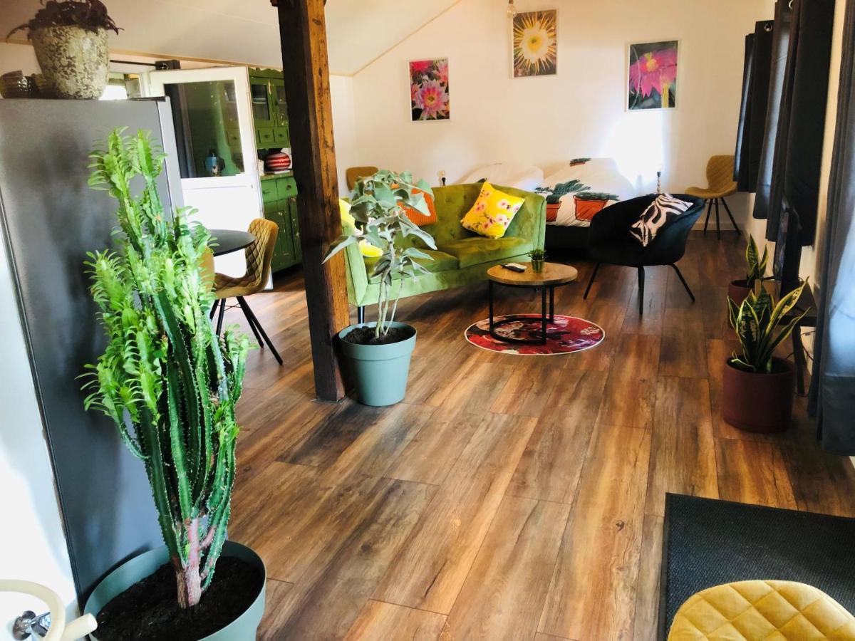 B &B Yuupke Maasbree Noord-Limburg Venlo Roermond Bed & Breakfast Dış mekan fotoğraf